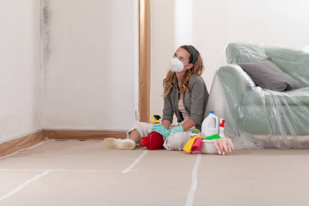Reliable Basement Mold Remediation contractor in Charlevoix, MI by 24 Hour Mold Removal